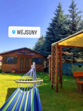 Butelkowa Zieleń, Wejsuny